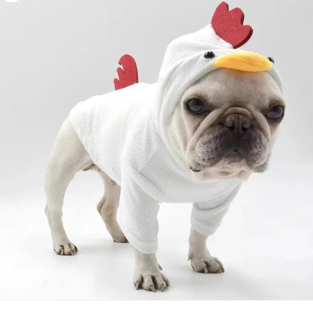 Adorable White Chicken Dog Costume